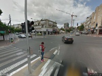 בעלי חיים עולם החי