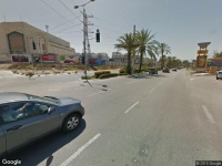 בעלי חיים עולם החי