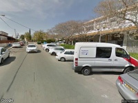 חריטה אומנותית דקל התמר