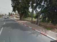 פרחים פרחי המושב