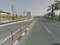 פרחים חוויה ושתיל