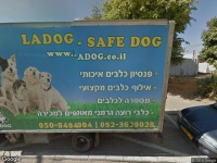 רפד סביונית